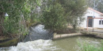 Rebombeig aigua de reg en any de sequera_5